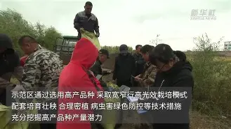 关于ARB创下年内新高,上扬幅高达7.65%,还能追吗?的信息 关于ARB创下年内新高,上扬幅高达7.65%,还能追吗?的信息